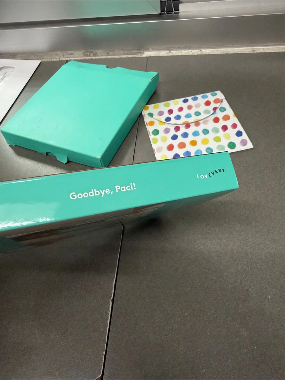 Love Everly Goodbye Paci Book